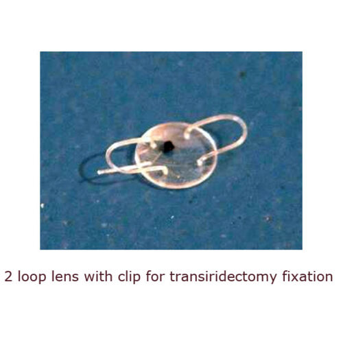 Intraocular lens assortment - Image 4