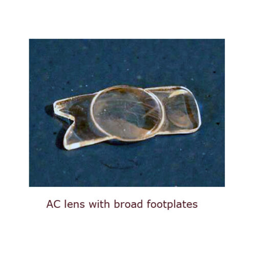 Intraocular lens assortment - Image 7