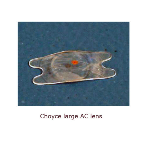 Intraocular lens assortment - Image 17