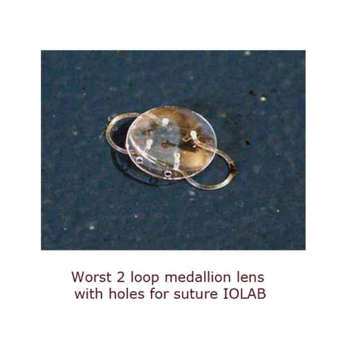 Intraocular lens assortment - Image 46