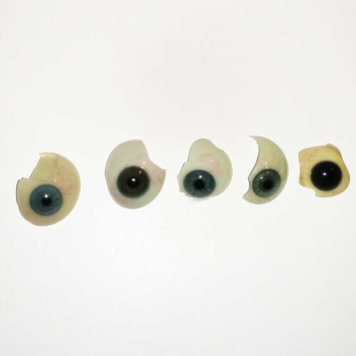 Blown Glass Prosthetic Eyes in Broken Ones - 1900